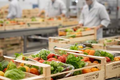 Linea di confezionamento di prodotti agroalimentari biologici in Toscana